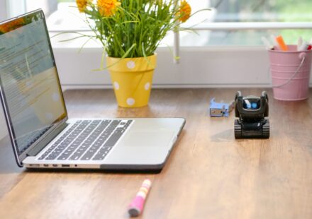 The Rise of Open-Source AI Models: Reshaping the Future of Artificial Intelligence